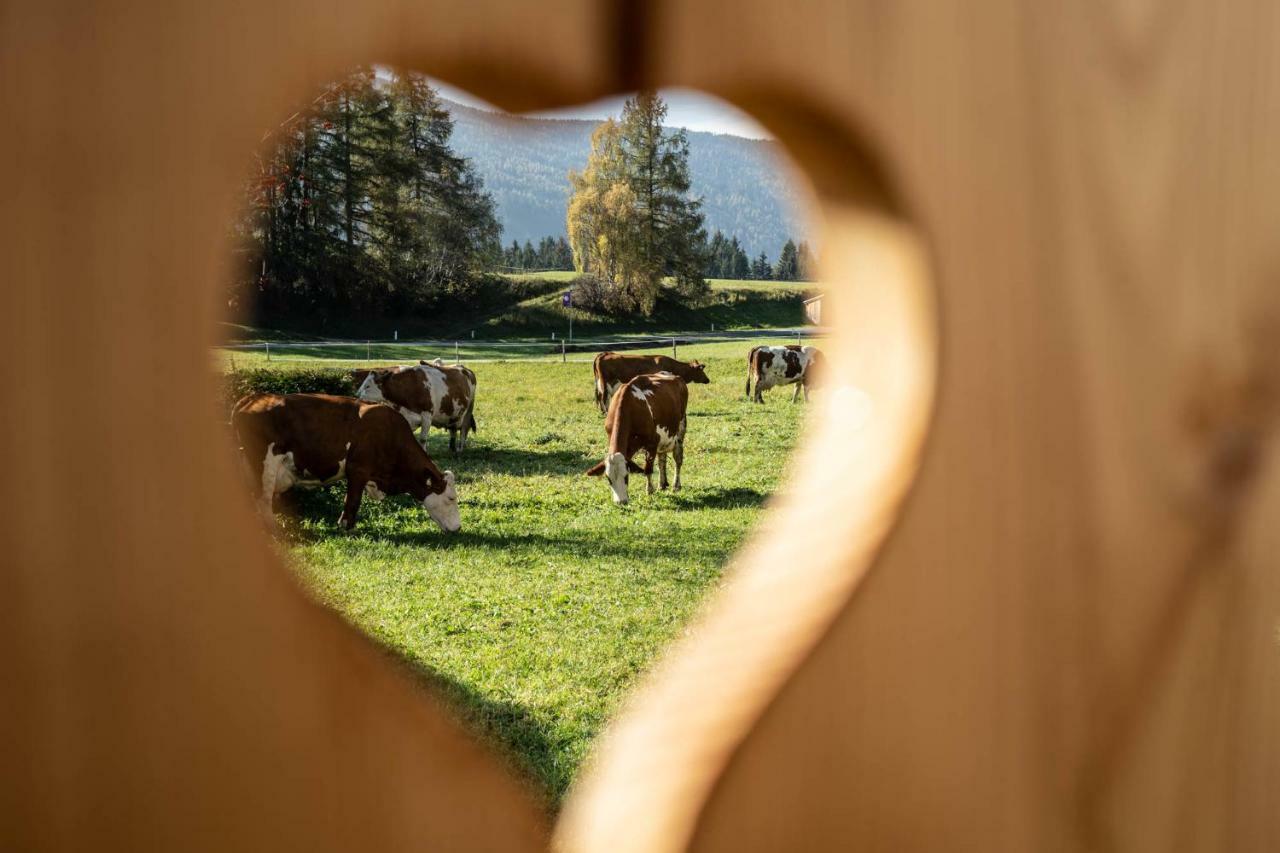Appartamento Biobauernhof Gast Mariapfarr Esterno foto