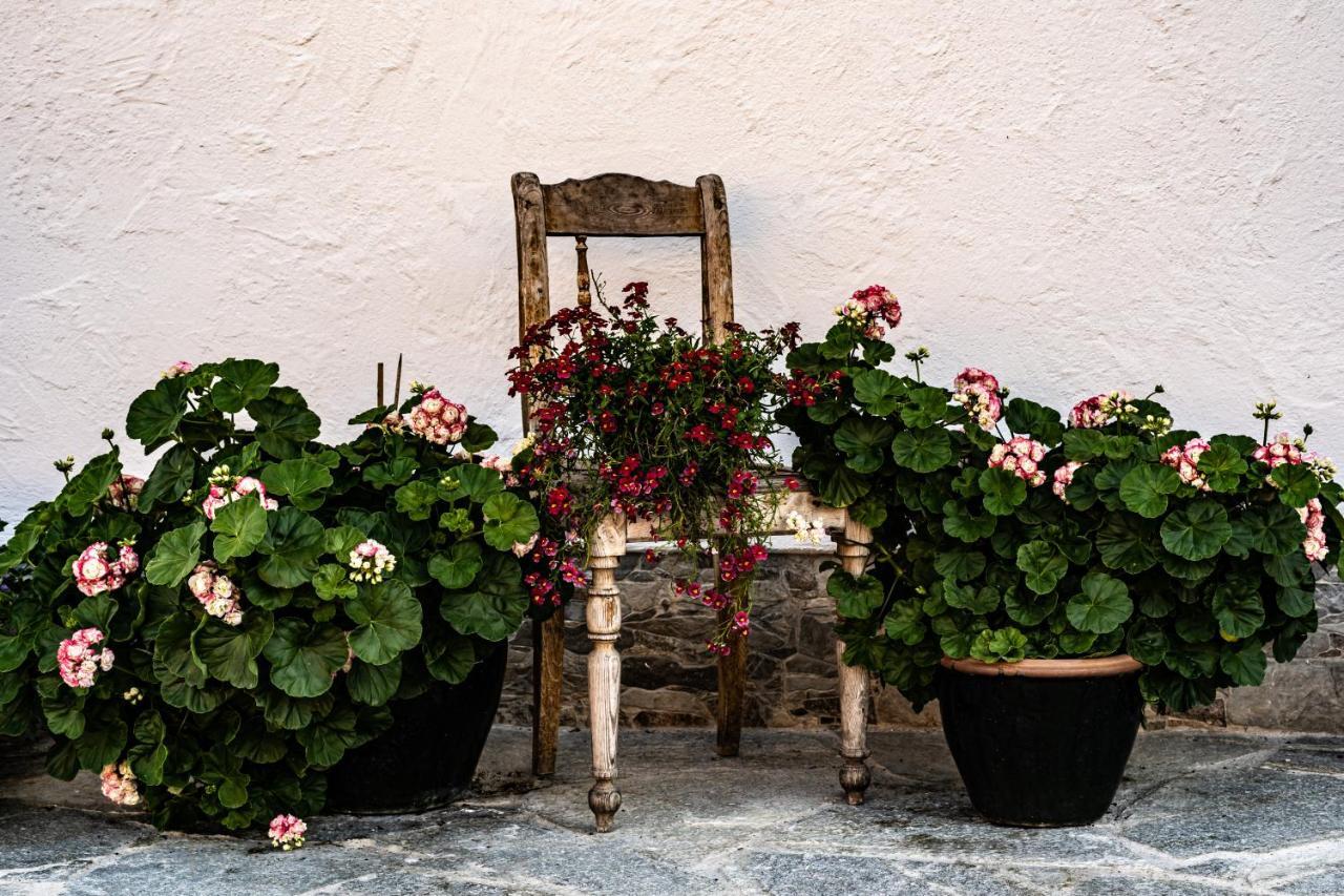 Appartamento Biobauernhof Gast Mariapfarr Esterno foto